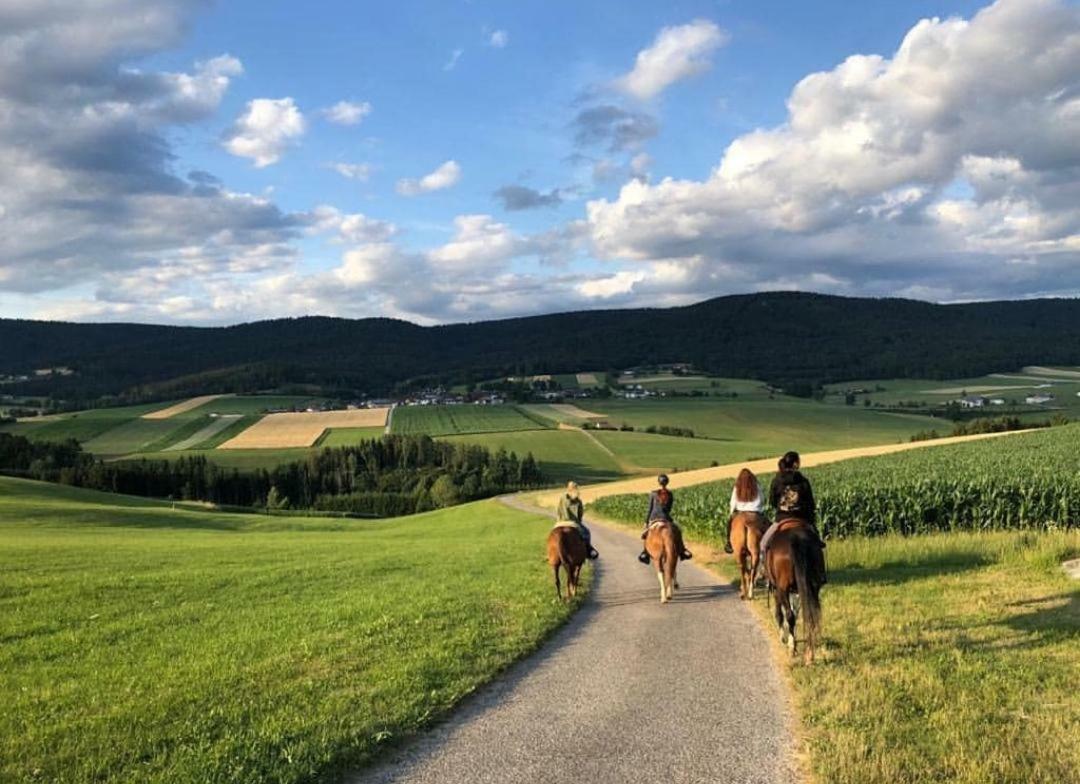 Appartmenthaus Kern Aigen im Mühlkreis Exterior foto